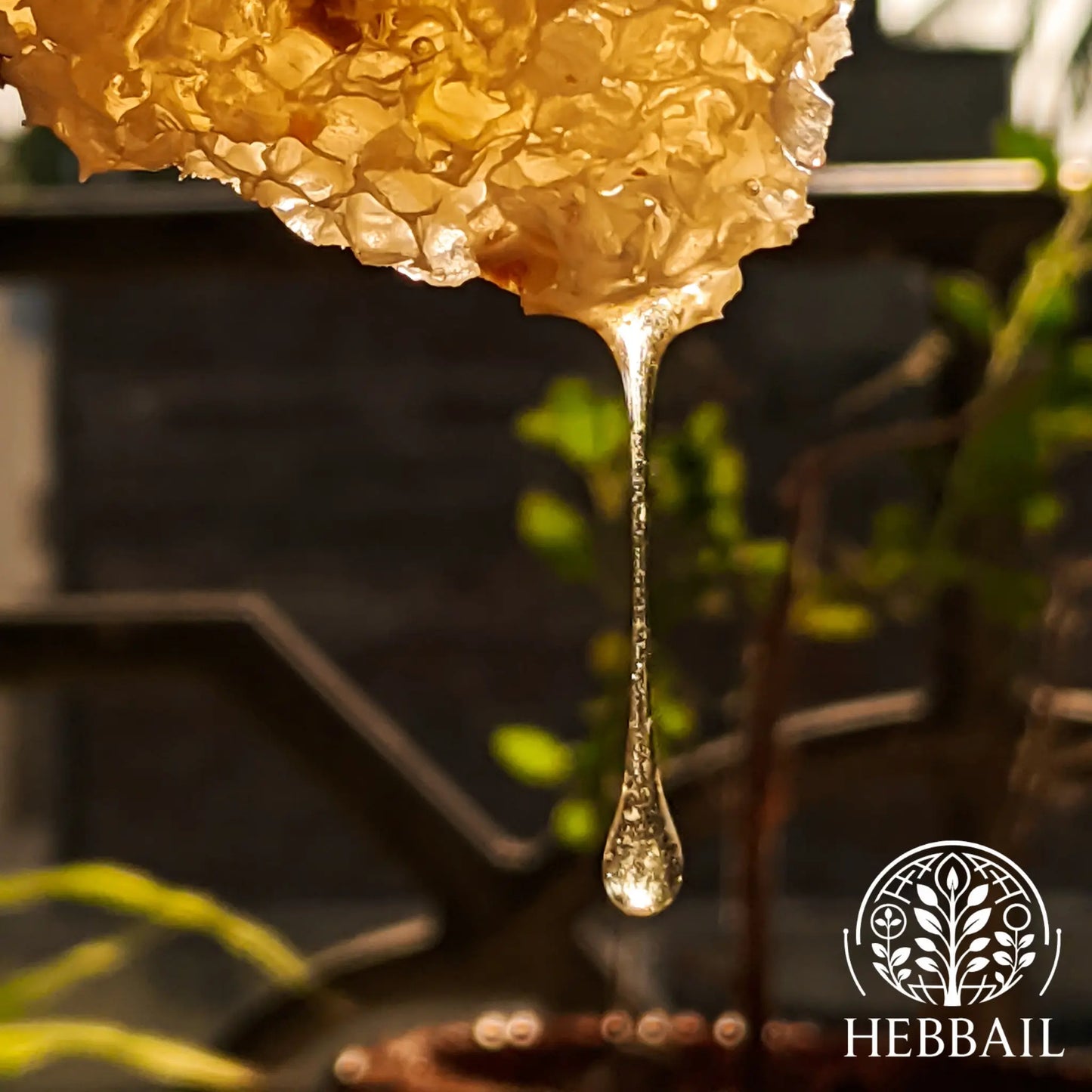 HEBBAIL Natural Tuduve Honey | 100% Pure, Raw & Unprocessed Hebbail