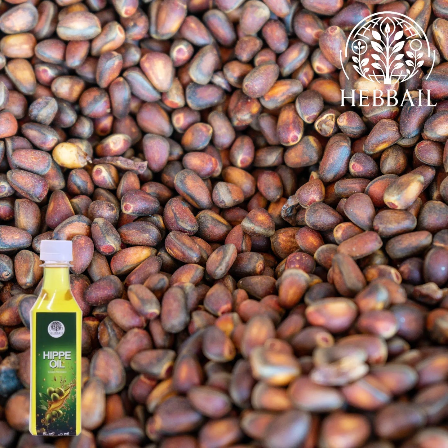 Pure Hippe Oil | Hebbail Natural Wellness - Hebbail