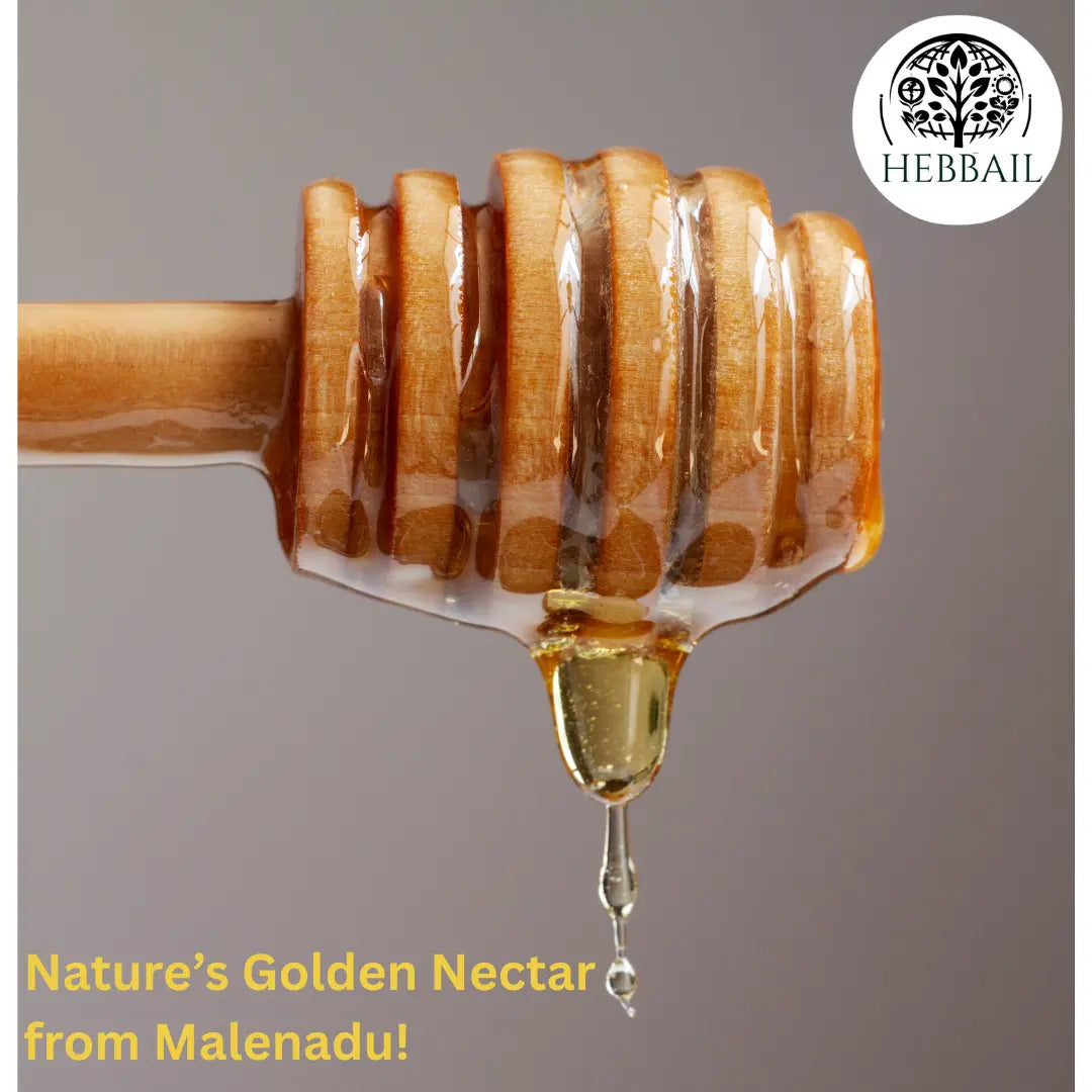 HEBBAIL Natural Hejjenu Honey – 500GM | 100% Pure, Raw & Wild Forest Honey Hebbail