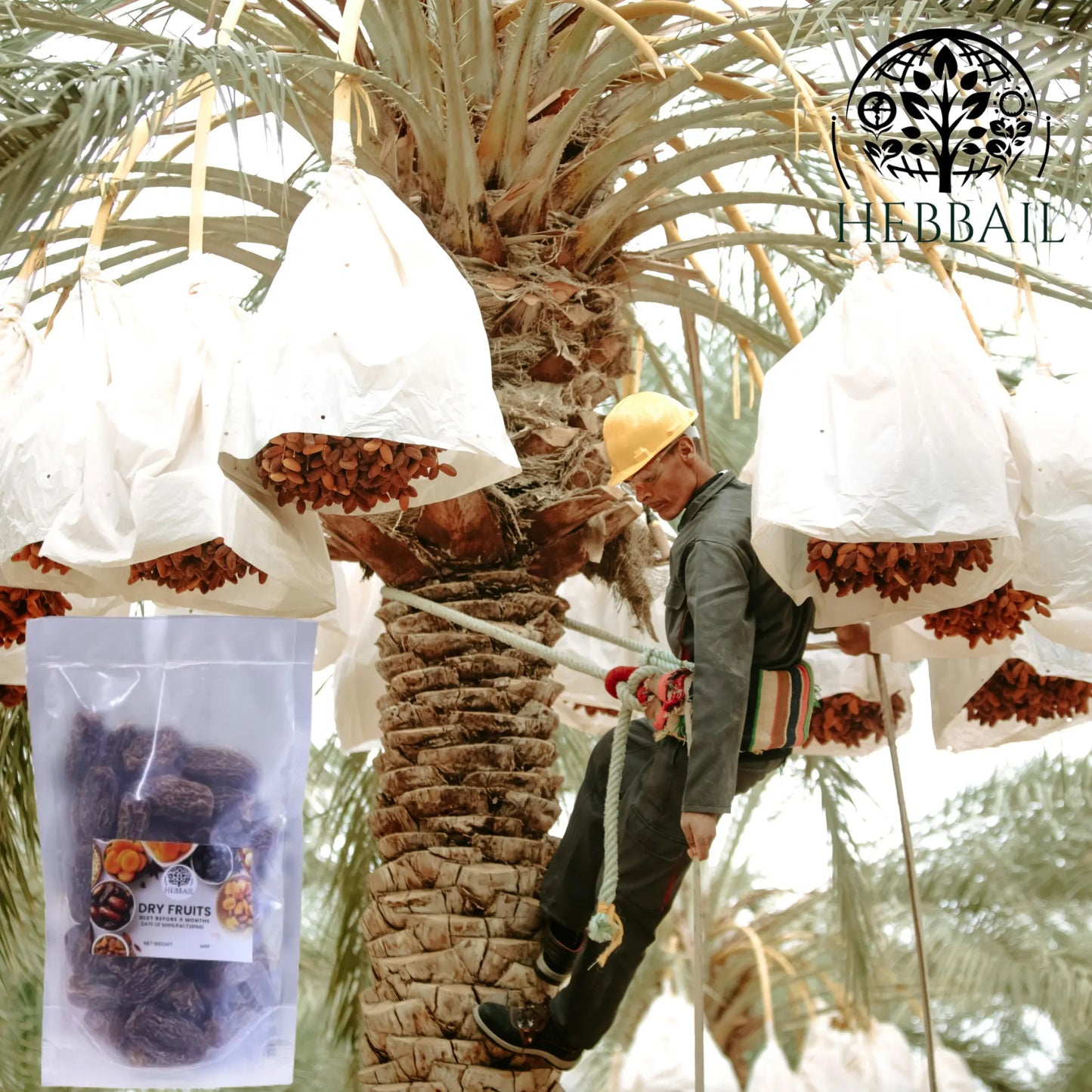 Premium Dry Dates (Kajoor) | Hebbail Natural Foods - Hebbail