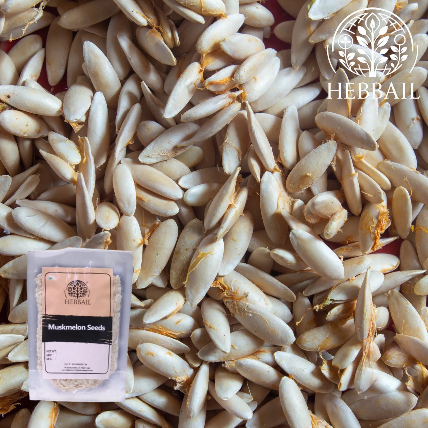 Premium Muskmelon Seeds | Hebbail Natural Superfoods - Hebbail