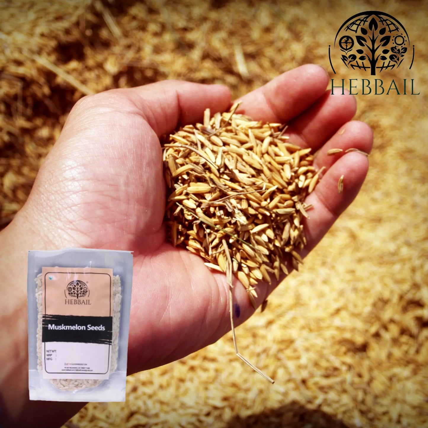 Premium Muskmelon Seeds | Hebbail Natural Superfoods - Hebbail