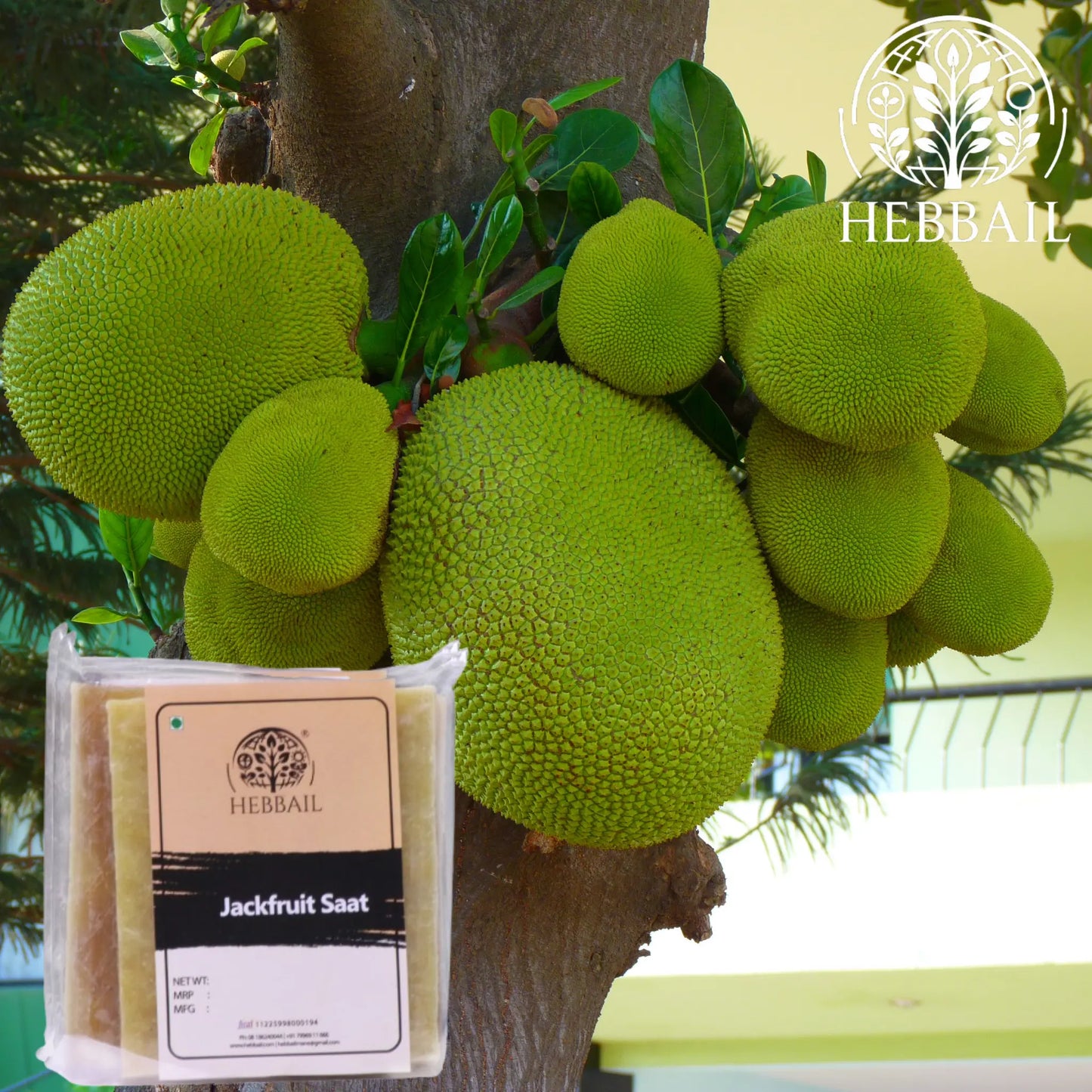 Traditional Jackfruit Saat | Hebbail Sun-Dried Delights - Hebbail