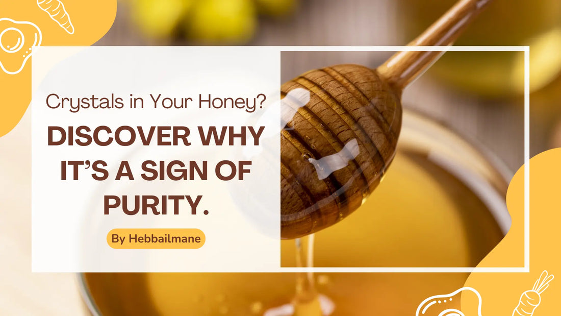 Honey dipper dripping golden forest honey with text overlay: ‘Crystals in Your Honey? Discover Why It’s a Sign of Purity. By Hebbailmane.