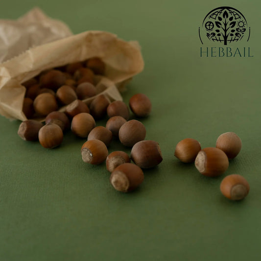 Premium Supari (Areca Nut) 100 grm | Hebbail Traditional Digestive - Hebbail
