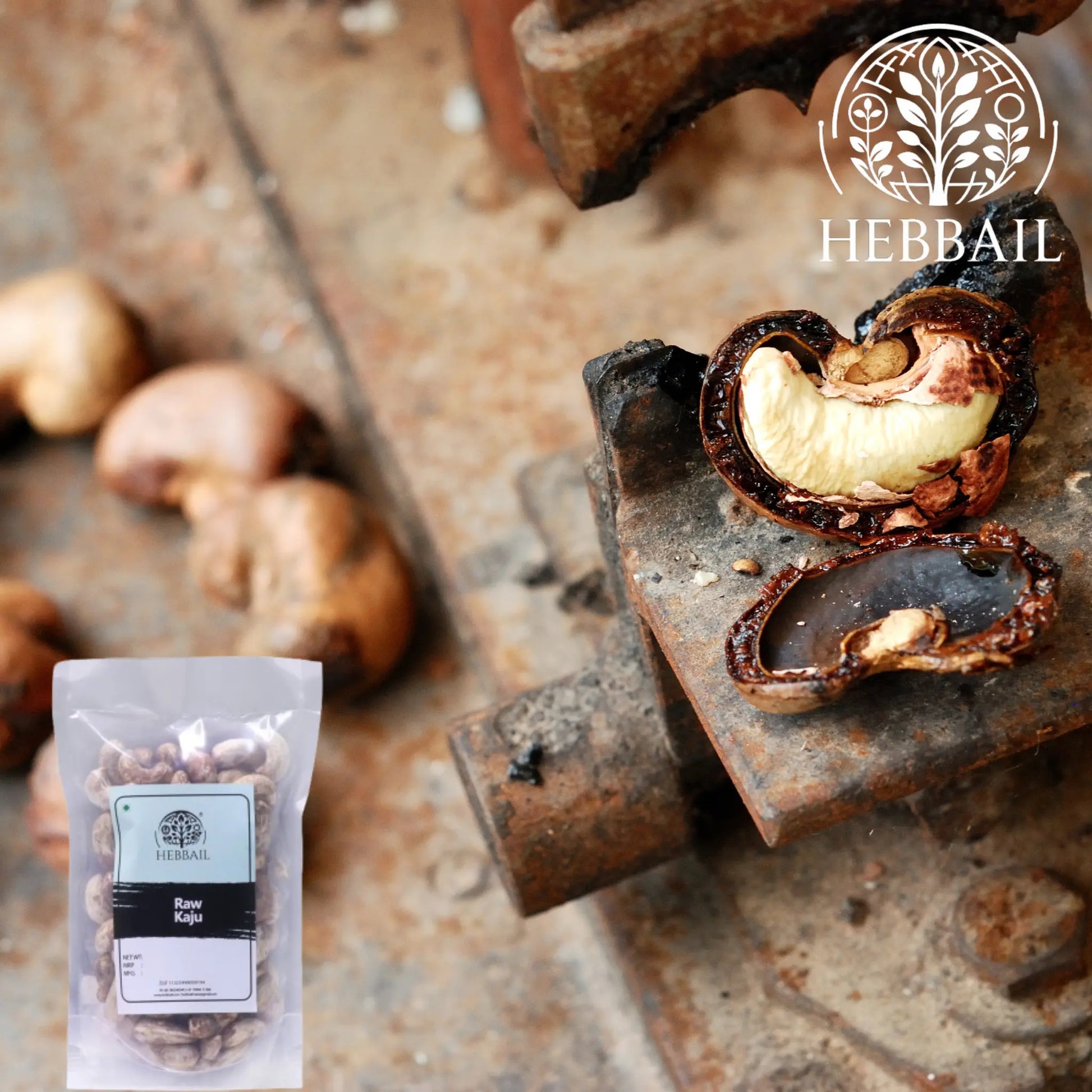 Raw Unpeeled Cashews (Kaju) | Hebbail Natural Nuts Hebbail